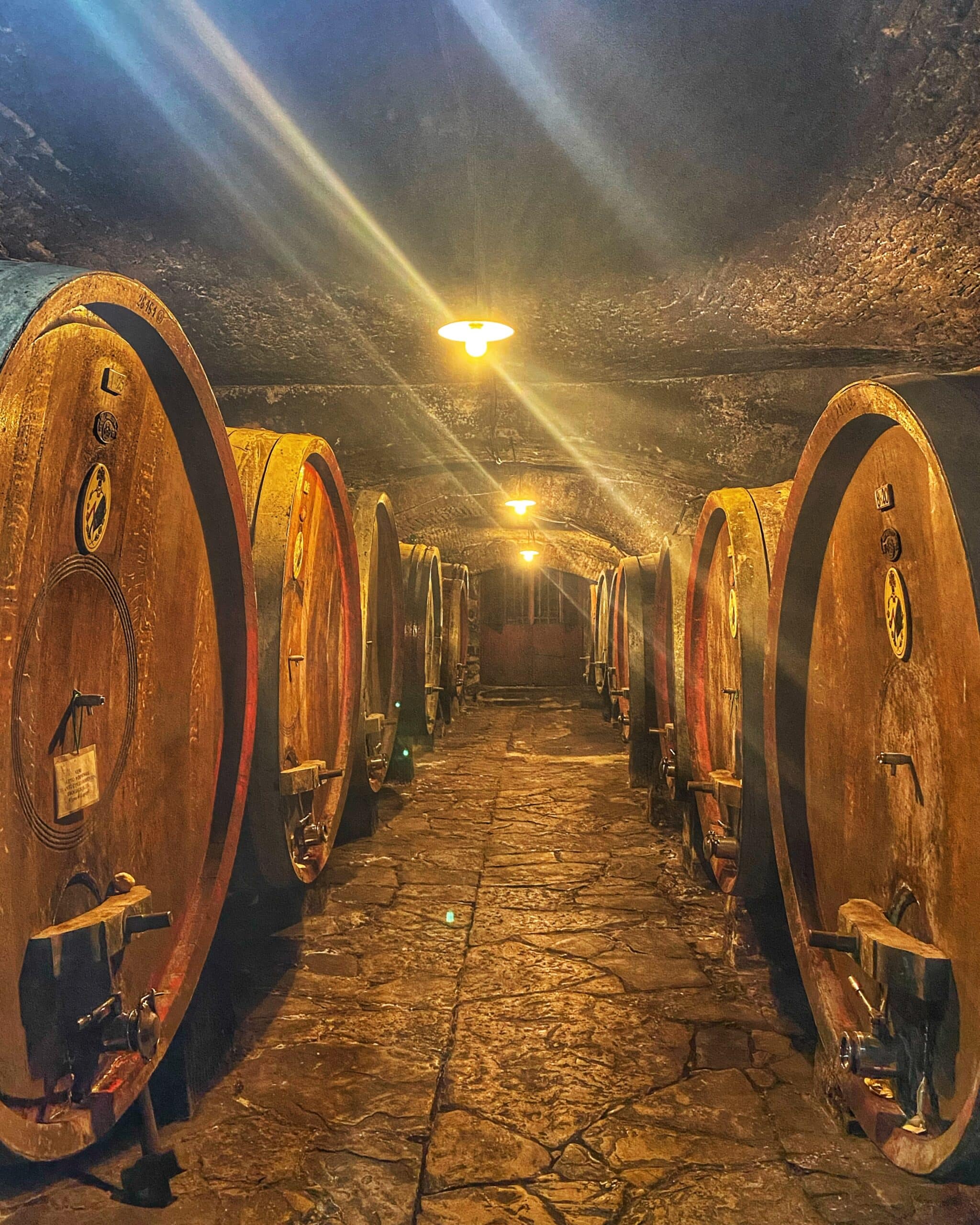 Pasillo de una bodega toscana, rodeada de barriles de vino, mostrando la tradición vinícola y la producción de vinos de la región.