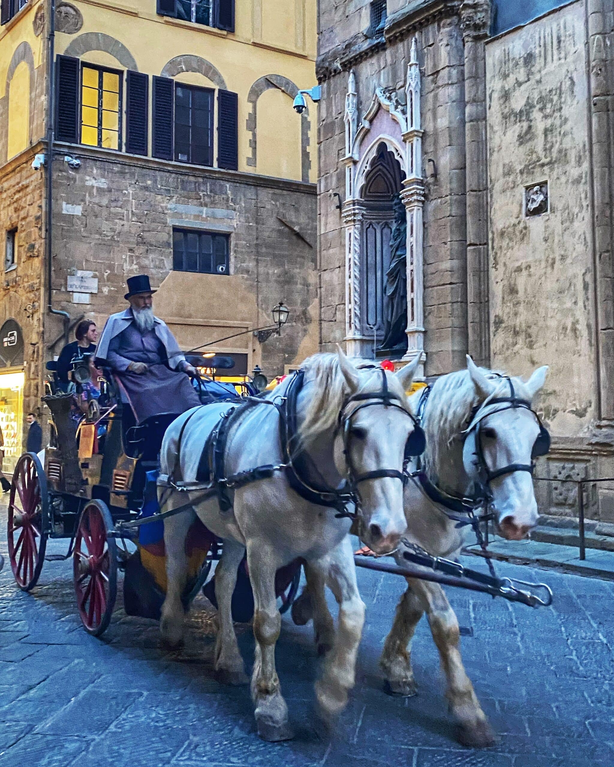 Un hombre viajando en un carro tirado por dos caballos blancos, recorriendo un paisaje típico de la toscana y mostrando la tradición rural italiana.